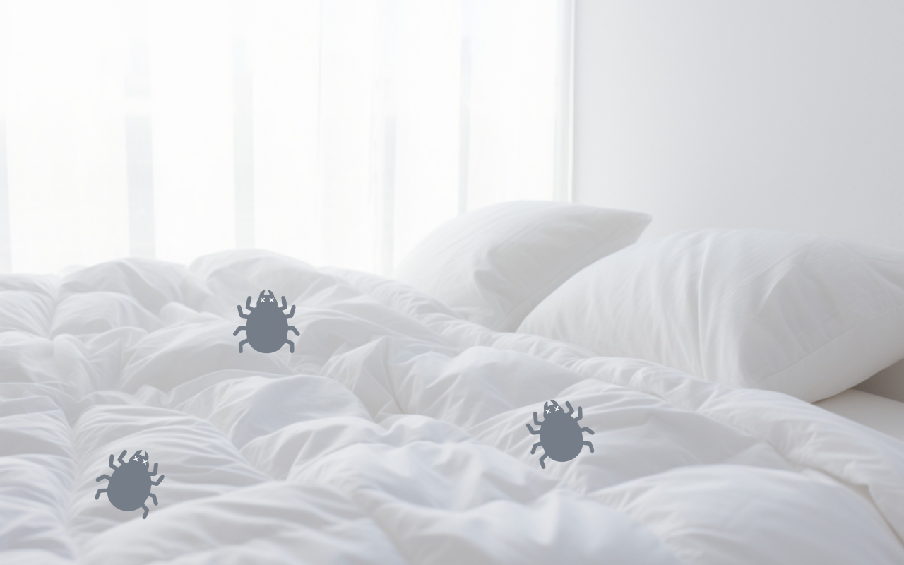 コインランドリー_HP用_03